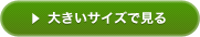 大きいサイズで見る